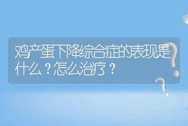 鸡产蛋下降综合症的表现是什么？怎么治疗？ | 兽医知识大全