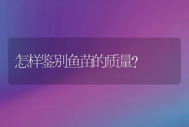 怎样鉴别鱼苗的质量？ | 动物养殖