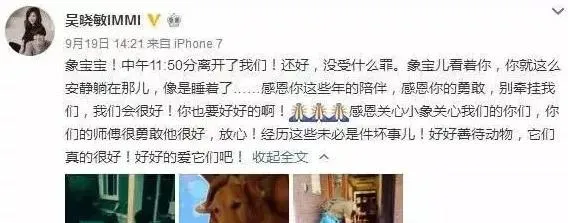 北京通州出台养犬条例，朴树：“没有狗的家是不完整的” | 宠物新闻资讯