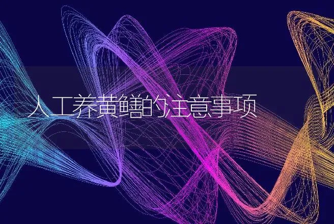 人工养黄鳝的注意事项 | 动物养殖