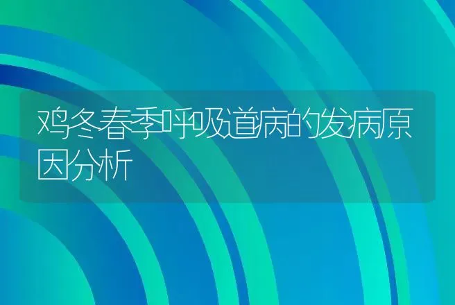 鸡冬春季呼吸道病的发病原因分析 | 动物养殖