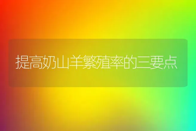 提高奶山羊繁殖率的三要点 | 动物养殖