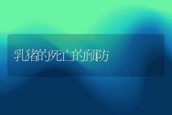 乳猪的死亡的预防 | 动物养殖