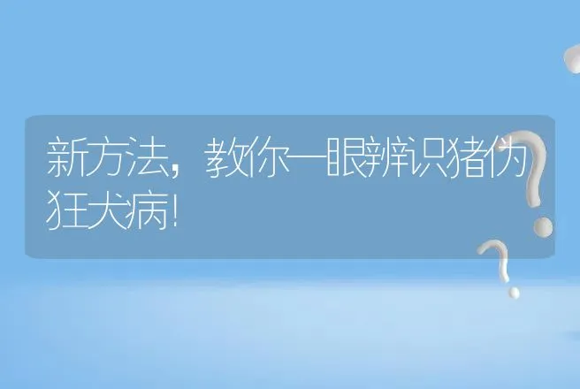 新方法，教你一眼辨识猪伪狂犬病！ | 兽医知识大全