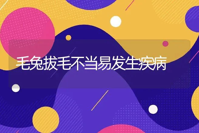 毛兔拔毛不当易发生疾病 | 动物养殖