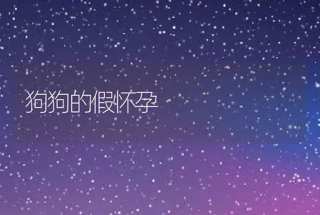 狗狗的假怀孕 | 动物养殖