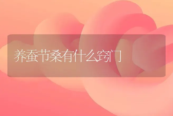 养蚕节桑有什么窍门 | 动物养殖