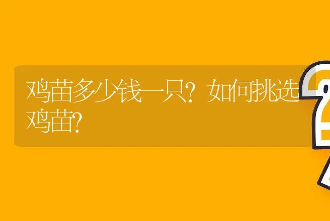 鸡苗多少钱一只？如何挑选鸡苗？ | 动物养殖