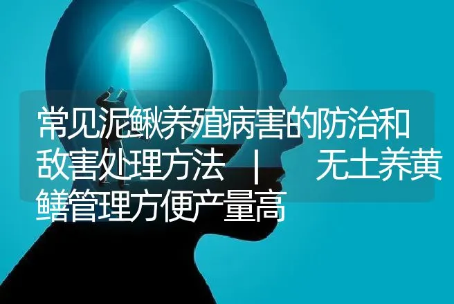 常见泥鳅养殖病害的防治和敌害处理方法 | 无土养黄鳝管理方便产量高 | 水产知识