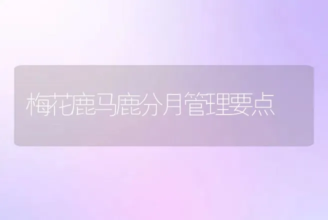 梅花鹿马鹿分月管理要点 | 特种养殖