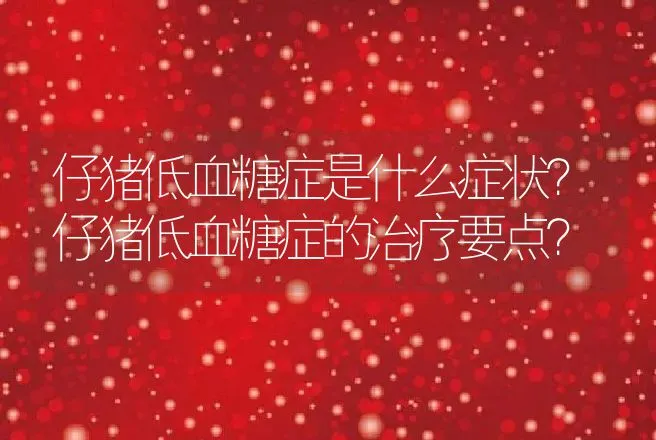 仔猪低血糖症是什么症状？仔猪低血糖症的治疗要点？ | 兽医知识大全