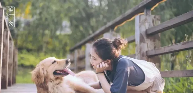 宠业社交新零售之社区团购：把握机遇，不出众就出局 | 宠物行业洞察