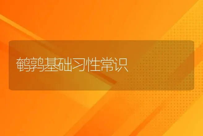 鹌鹑基础习性常识 | 动物养殖