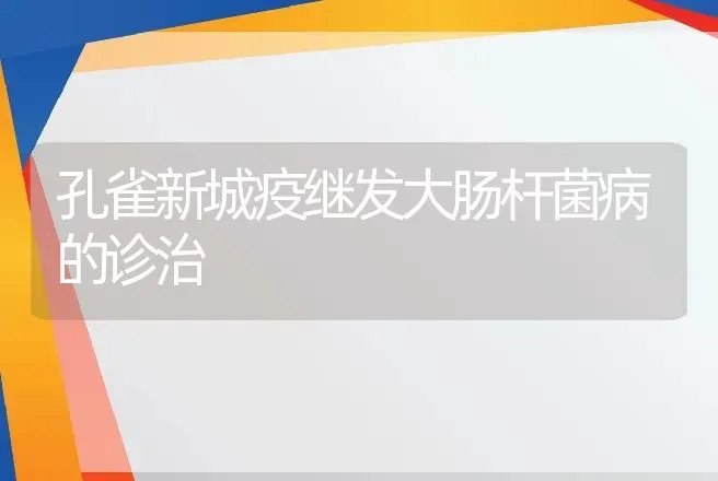 孔雀新城疫继发大肠杆菌病的诊治 | 动物养殖