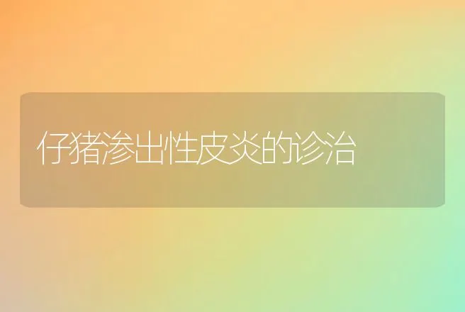 仔猪渗出性皮炎的诊治 | 动物养殖