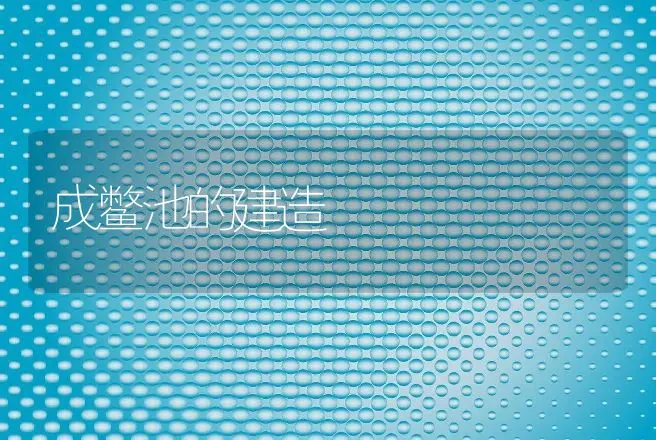 成鳖池的建造 | 动物养殖