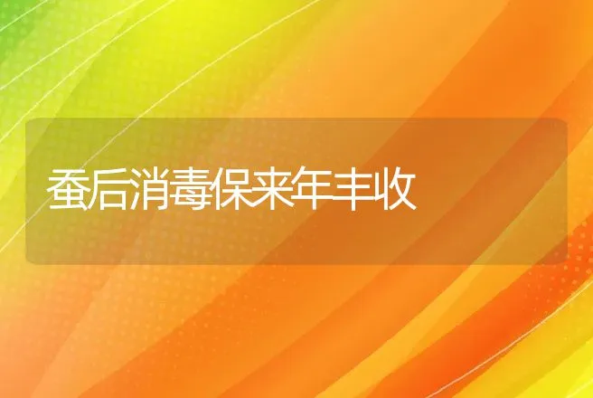 蚕后消毒保来年丰收 | 动物养殖