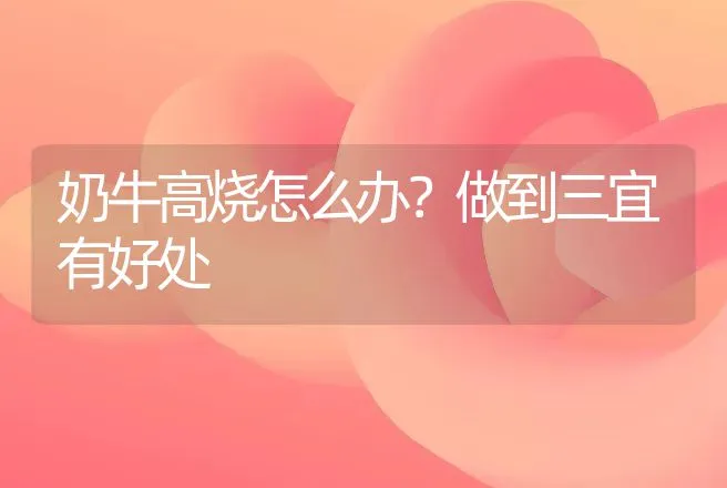 奶牛高烧怎么办？做到三宜有好处 | 家畜养殖