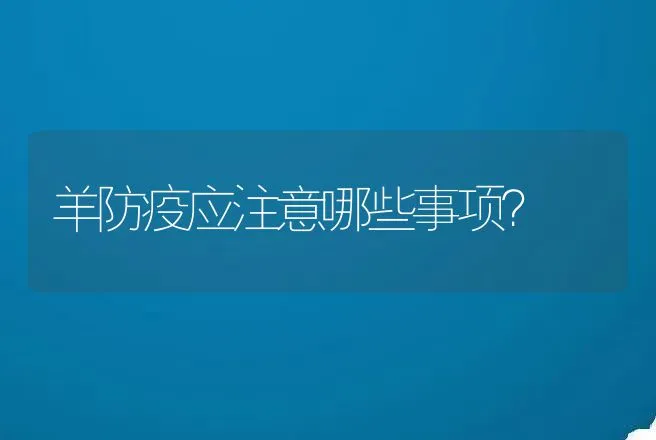 羊防疫应注意哪些事项？ | 家畜养殖