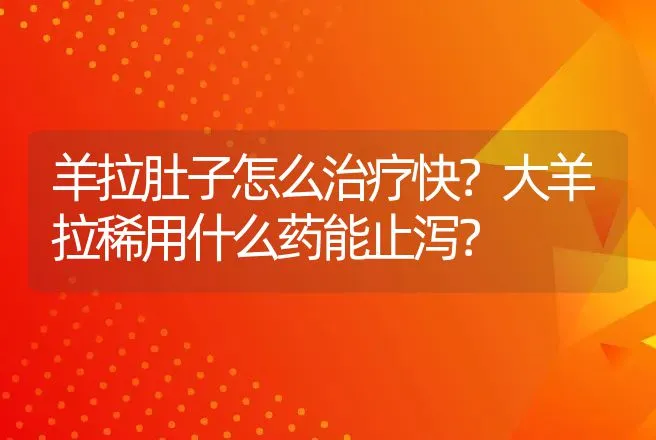 羊拉肚子怎么治疗快？大羊拉稀用什么药能止泻？ | 兽医知识大全