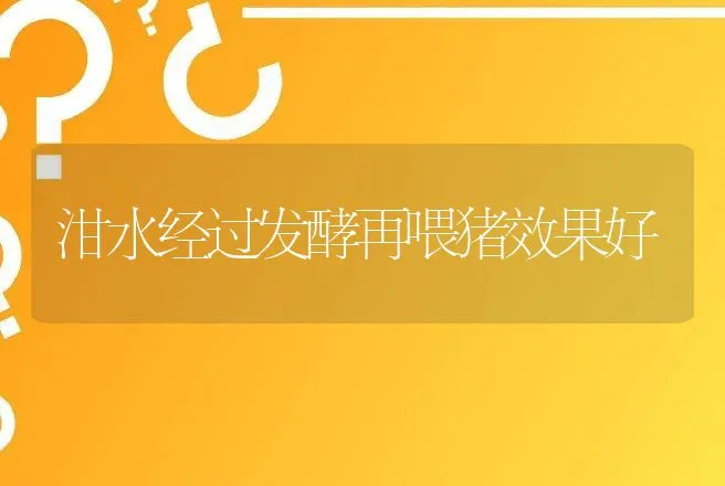 泔水经过发酵再喂猪效果好 | 动物养殖