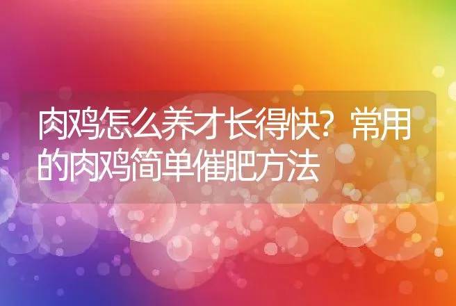 肉鸡怎么养才长得快？常用的肉鸡简单催肥方法 | 家禽养殖