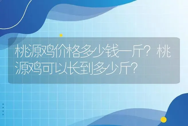 桃源鸡价格多少钱一斤？桃源鸡可以长到多少斤？ | 家禽养殖