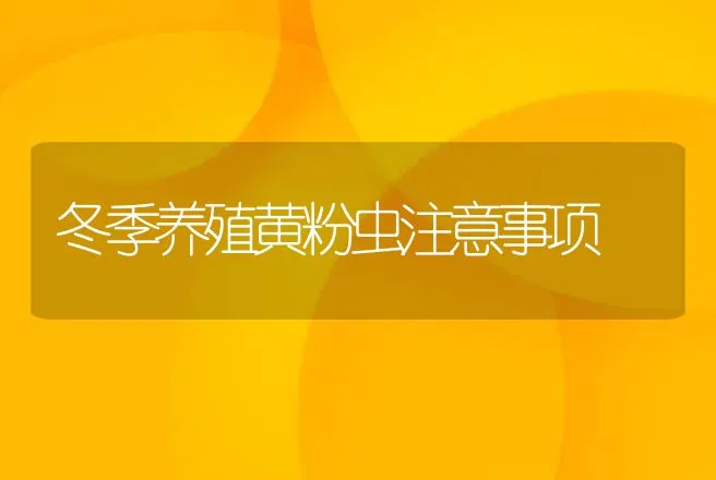 冬季养殖黄粉虫注意事项 | 动物养殖