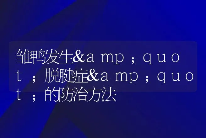 雏鸭发生"脱腱症"的防治方法 | 动物养殖