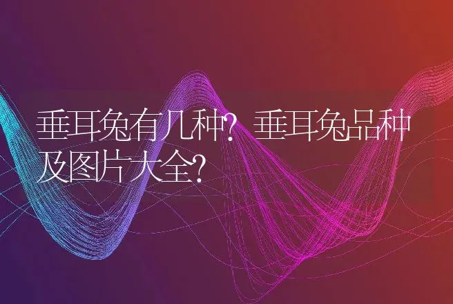 垂耳兔有几种？垂耳兔品种及图片大全？ | 特种养殖