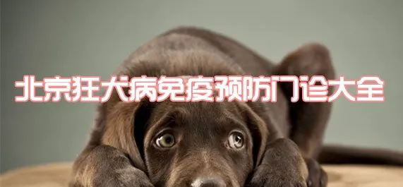 北京狂犬病免疫预防门诊大全，附地址和电话！ | 宠物政策法规