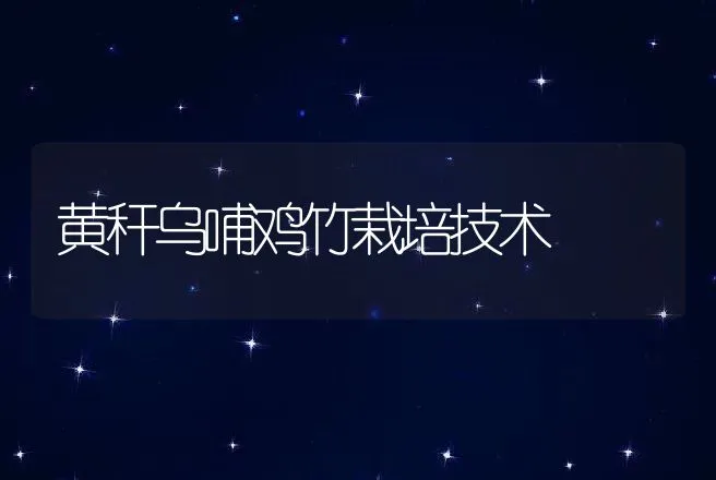 黄秆乌哺鸡竹栽培技术 | 动物养殖