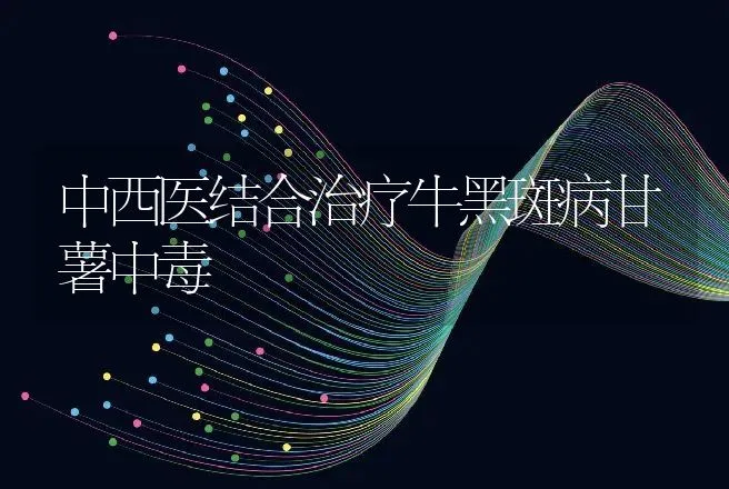 中西医结合治疗牛黑斑病甘薯中毒 | 动物养殖