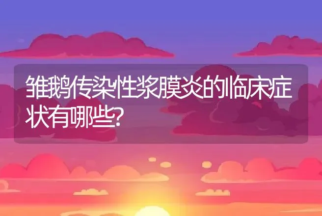 雏鹅传染性浆膜炎的临床症状有哪些? | 家禽养殖