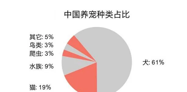 数据告诉你，宠物这几个职业最有“钱景” | 宠物行业洞察