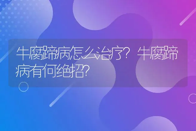 牛腐蹄病怎么治疗？牛腐蹄病有何绝招？ | 兽医知识大全