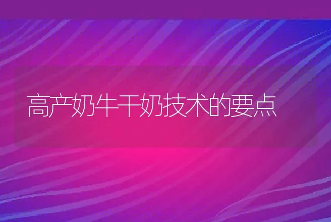 高产奶牛干奶技术的要点 | 动物养殖