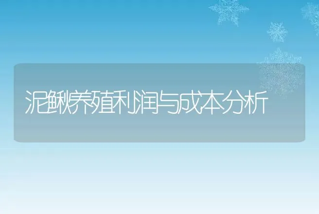 泥鳅养殖利润与成本分析 | 特种养殖