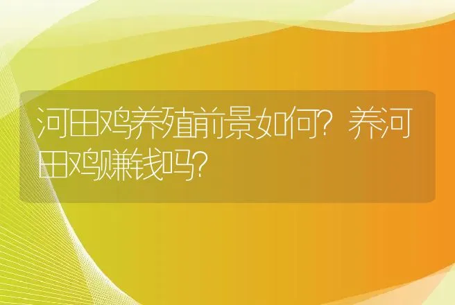 河田鸡养殖前景如何？养河田鸡赚钱吗？ | 养殖致富