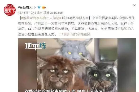 俄罗斯又现“人脸猫”？畸形繁育到底害了多少猫 | 宠物新闻资讯