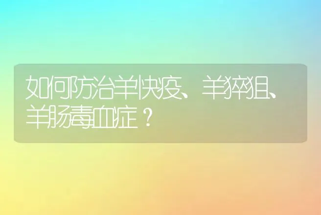 如何防治羊快疫、羊猝狙、羊肠毒血症？ | 家畜养殖