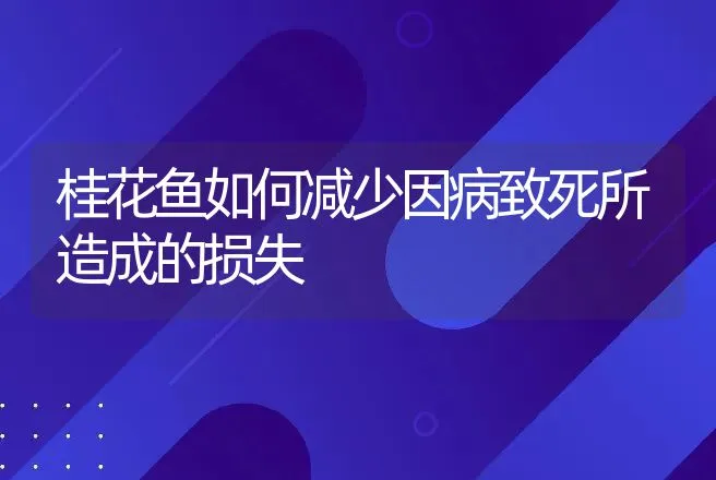 桂花鱼如何减少因病致死所造成的损失 | 水产知识