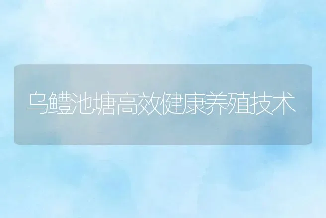 乌鳢池塘高效健康养殖技术 | 动物养殖