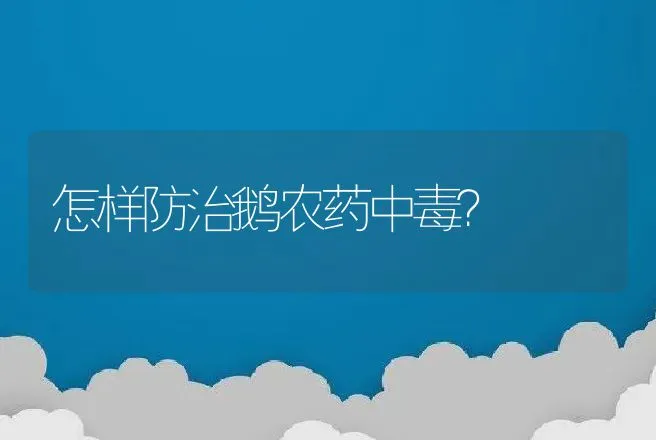 鸡肺炎的症状表现有哪些？鸡肺炎用什么药效果好？ | 兽医知识大全