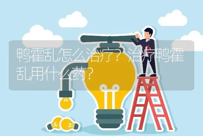 鸭霍乱怎么治疗？治疗鸭霍乱用什么药？ | 兽医知识大全