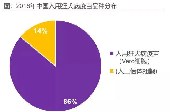 人用狂犬疫苗趋于饱和，竞争格局在哪里？ | 宠物行业洞察