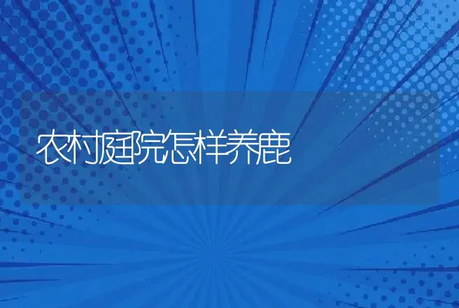 农村庭院怎样养鹿 | 动物养殖