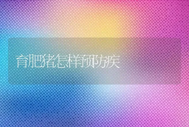 育肥猪怎样预防疾 | 动物养殖