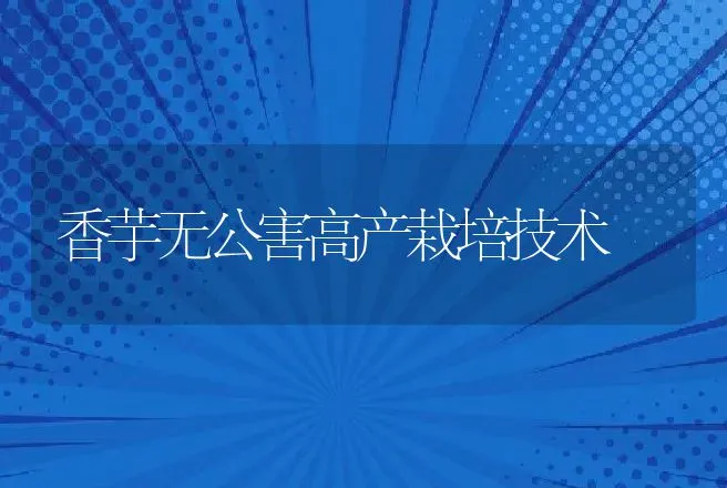 香芋无公害高产栽培技术 | 动物养殖