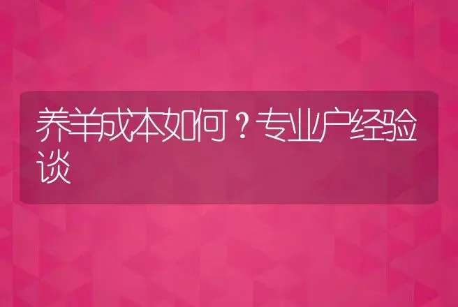 养羊成本如何？专业户经验谈 | 家畜养殖